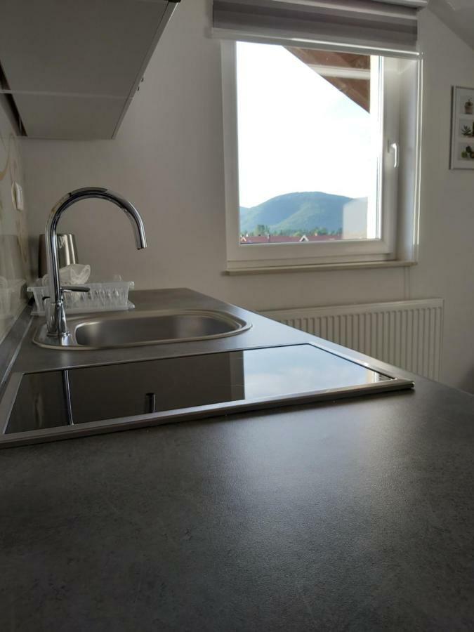 Apartmani Brigita Korenica Extérieur photo